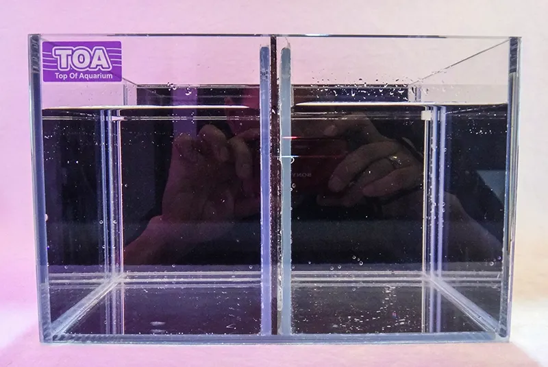 優白展鬥專用缸-1-S