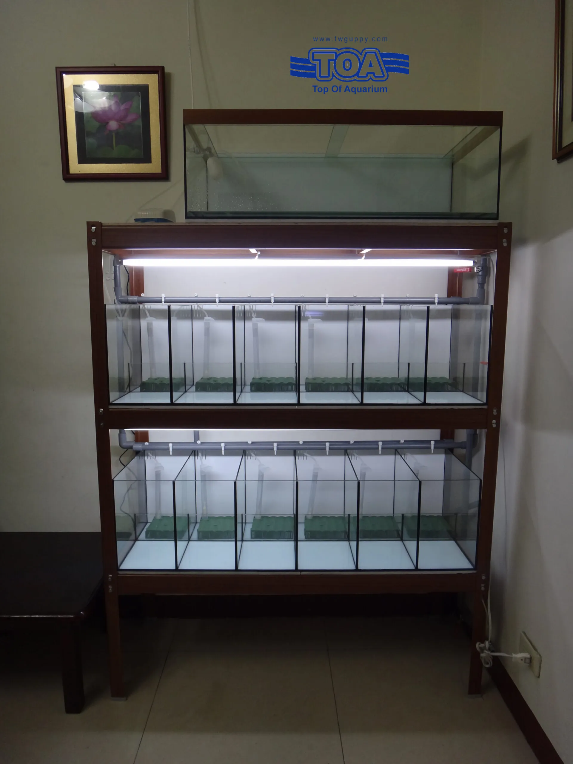 成品-1L-scaled