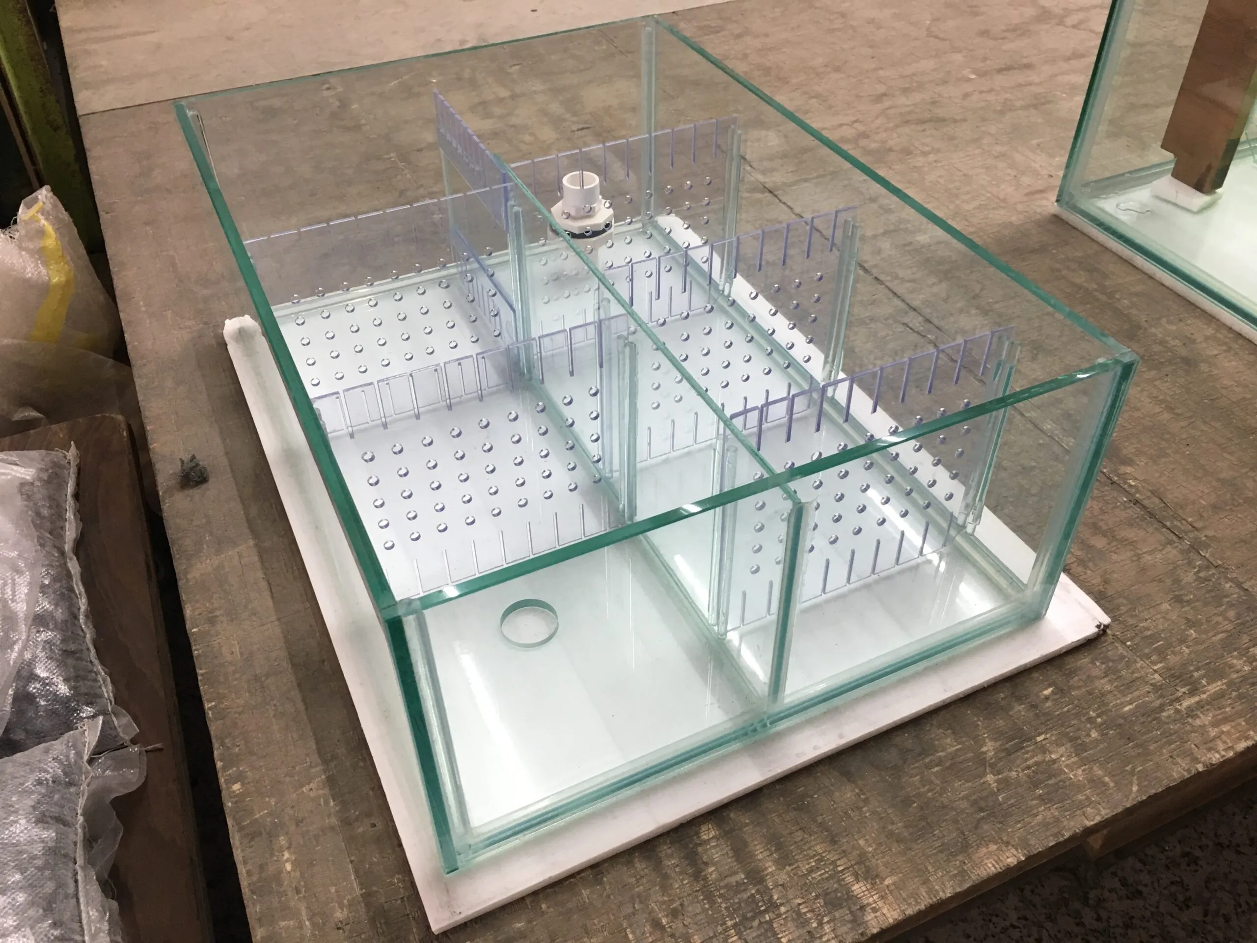 海水魚隔離缸-106.12.23-scaled