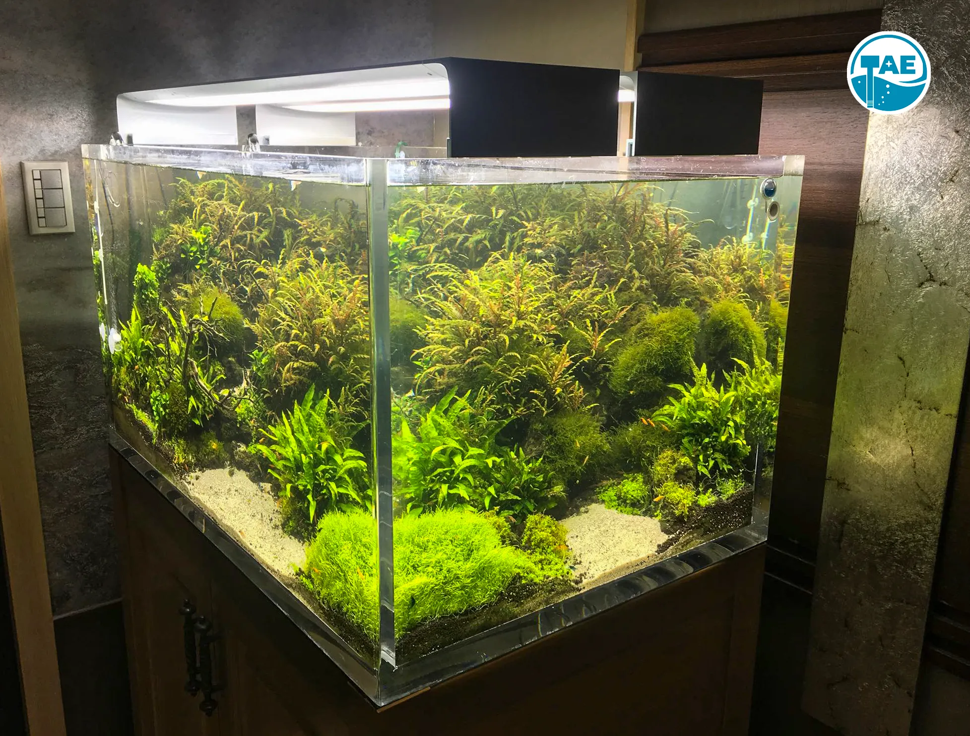 1-4-L
