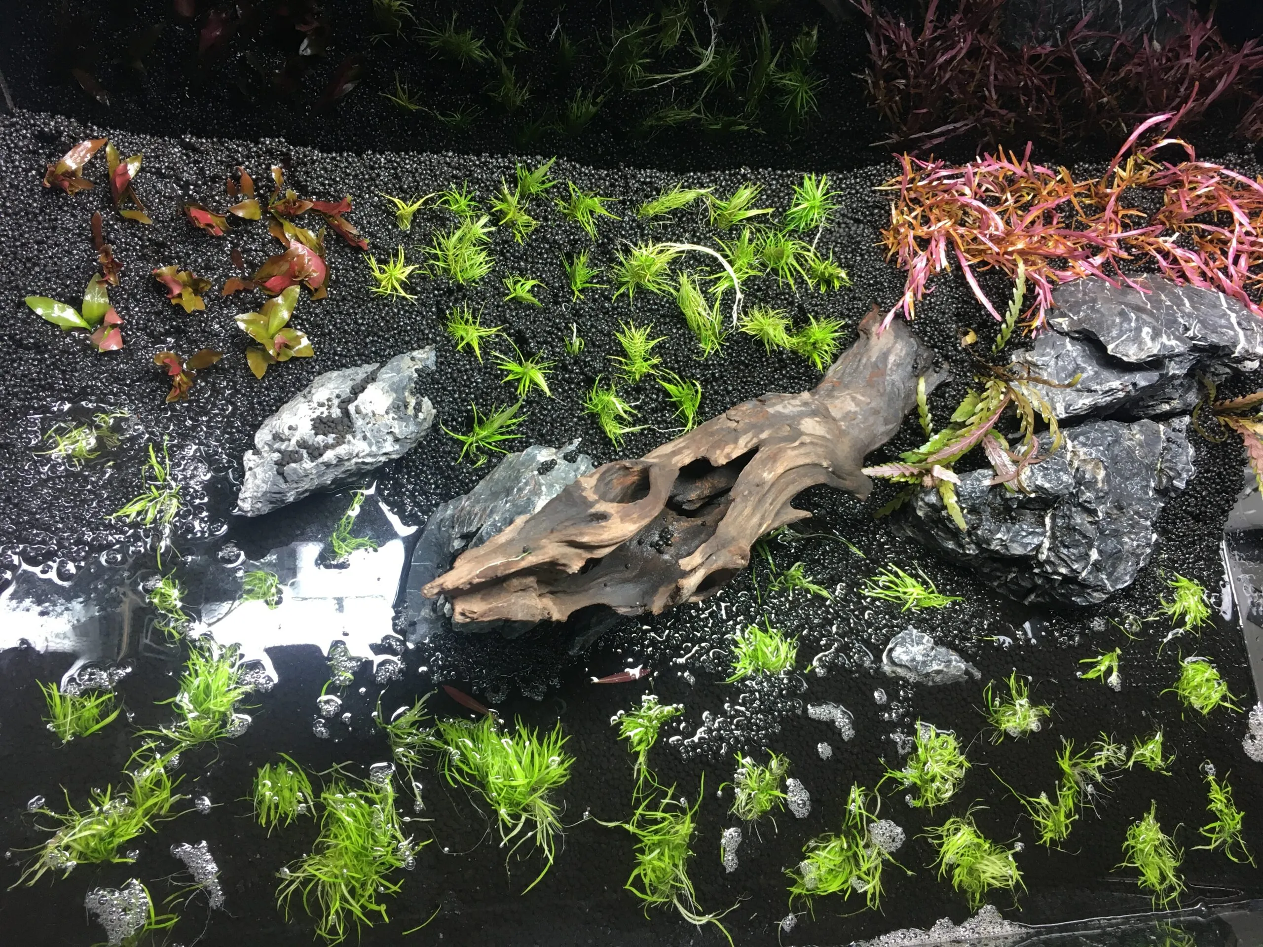 1-5-1-scaled