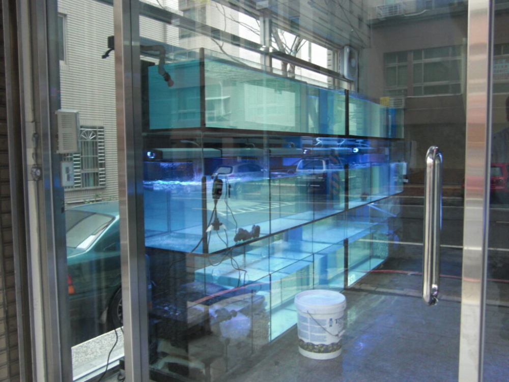 BUS-005 楊梅．群漢水族工坊