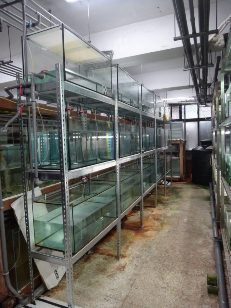 F-006 台灣大學 &ndash; 漁業科學研究所