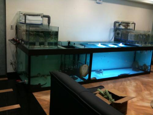 G-007 新莊-傅先生-魟魚混養養殖設備