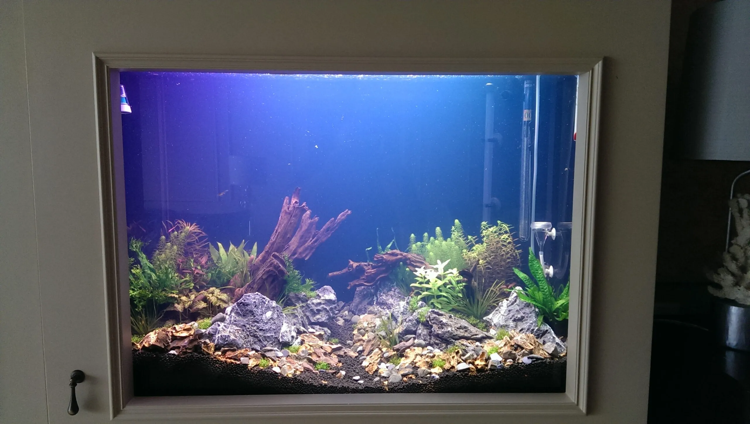IMAG3764-1-scaled