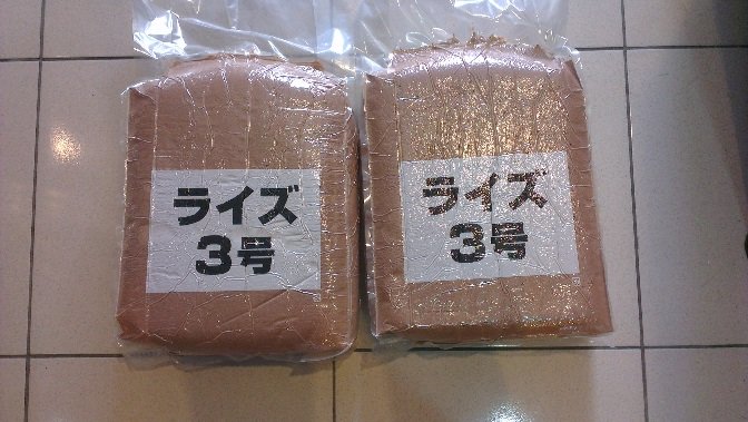 孔雀魚飼料