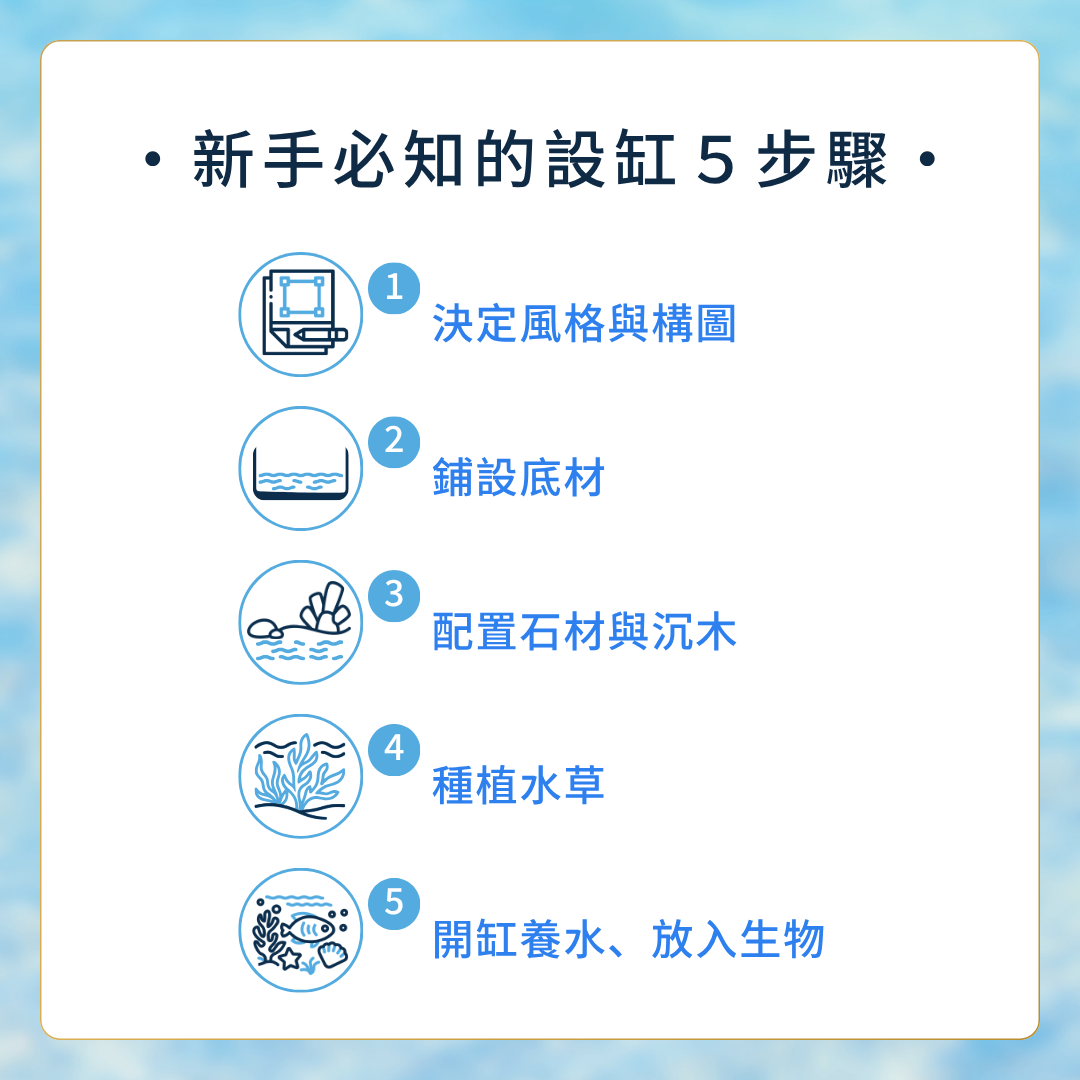 魚缸造景設缸的步驟