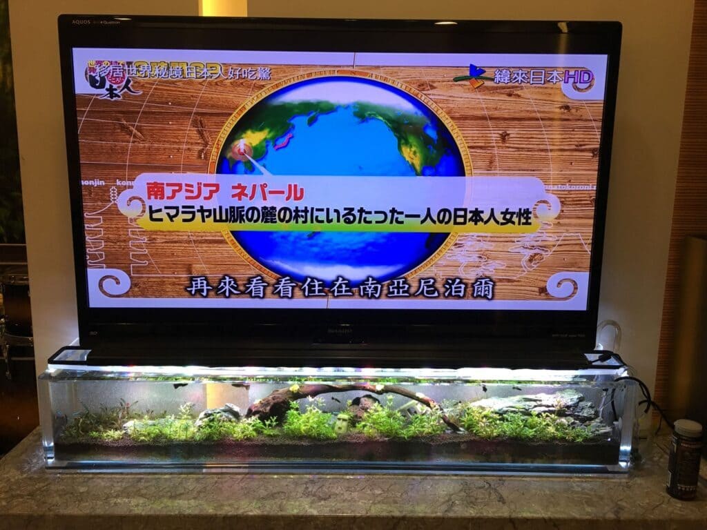 圖