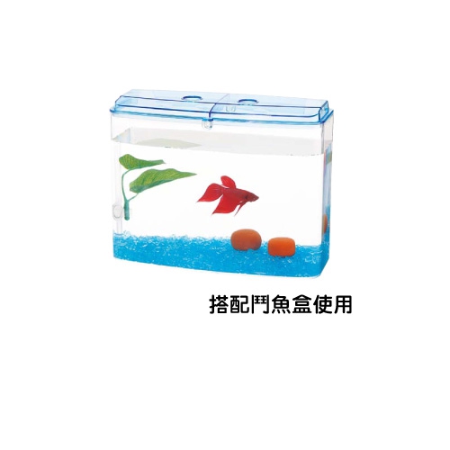 水作 鬥魚休息室