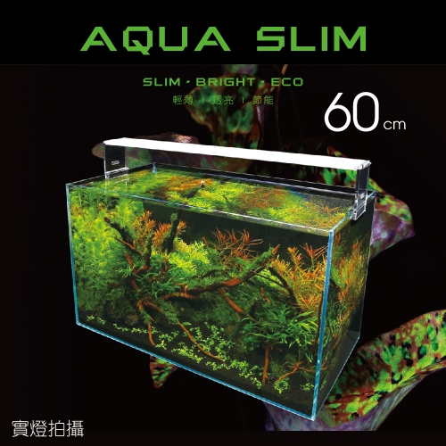 高透光水草燈