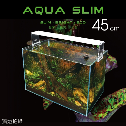高透光水草燈
