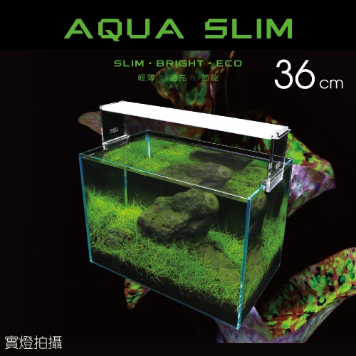 高透光水草燈