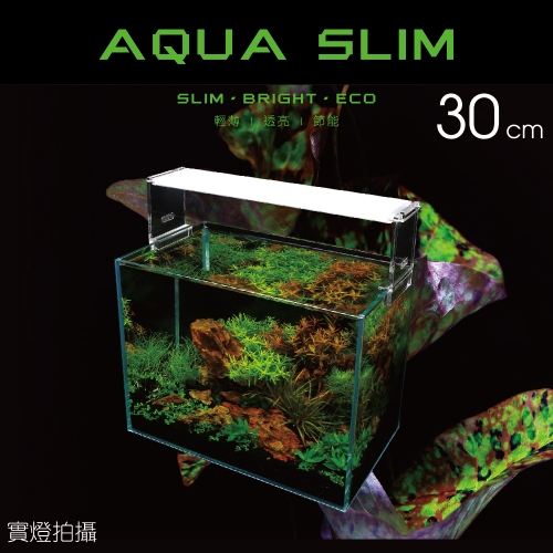 高透光水草燈